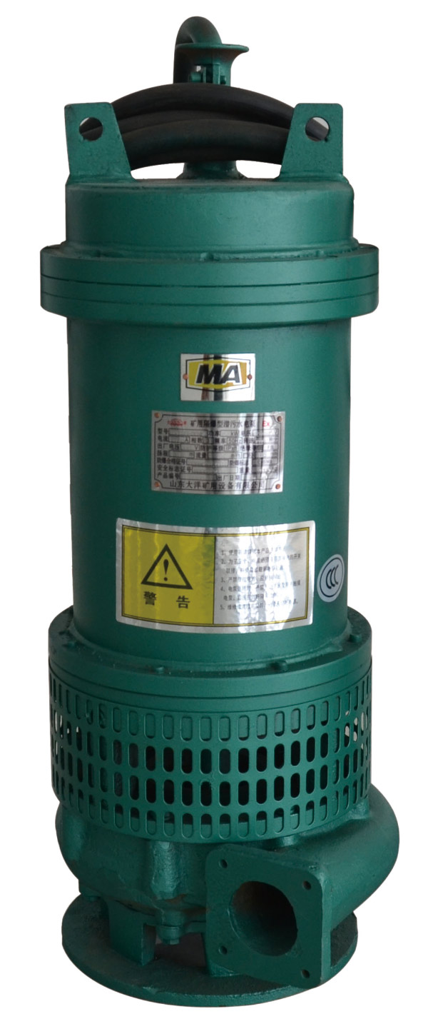 自動(dòng)潛水排污電泵