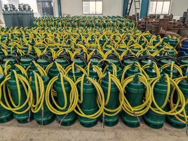 國產(chǎn)潛水排污電泵